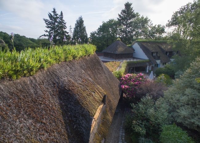 Hôtel Le Petit Coq aux Champs
