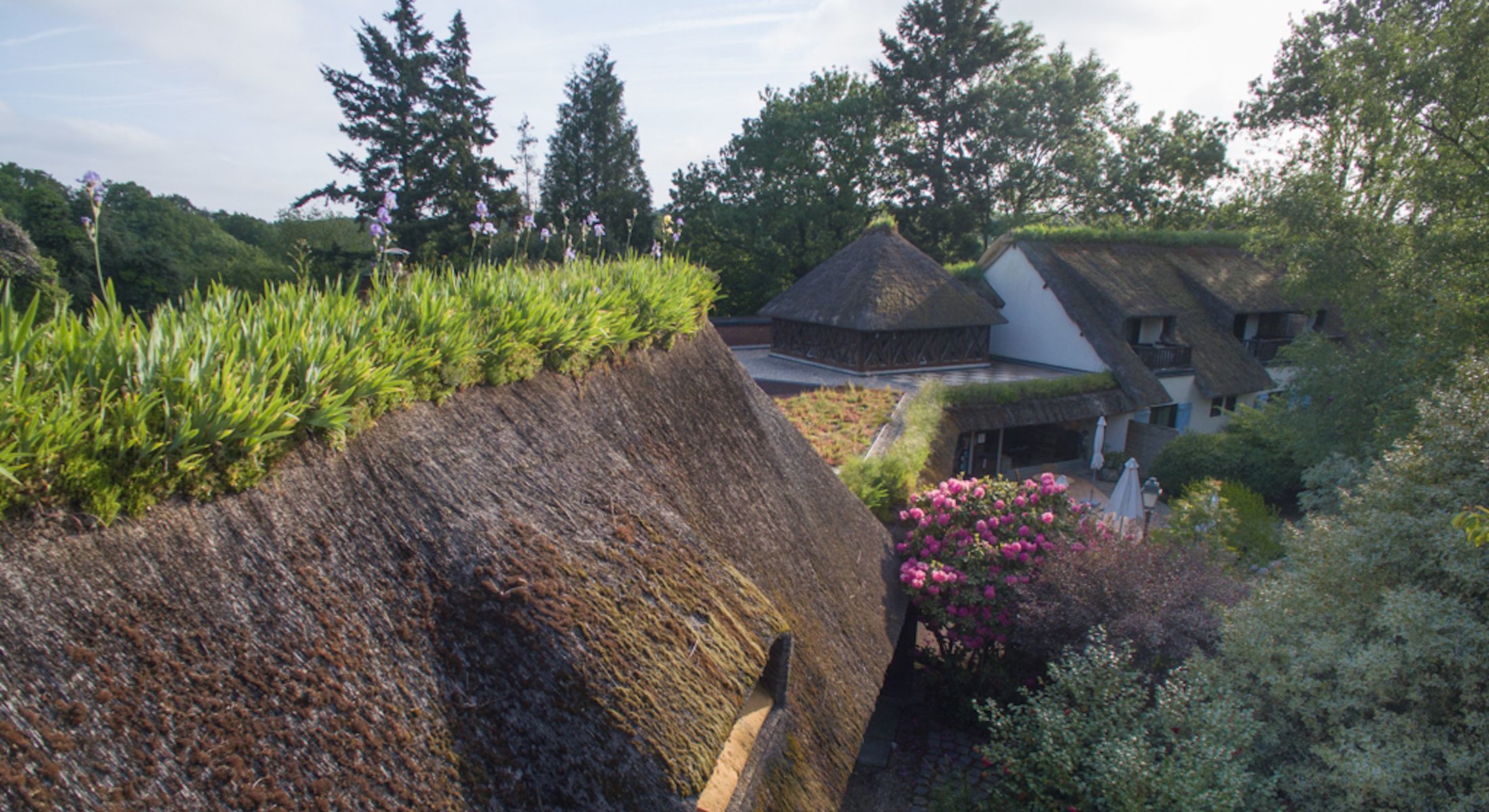 Hotel Le Petit Coq aux Champs